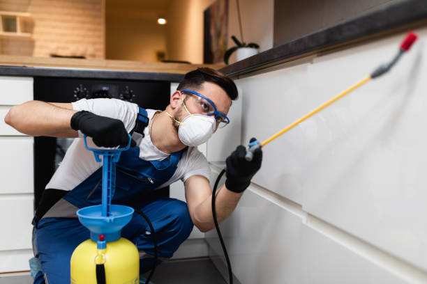 Best Affordable Pest Control Services  in University Park, MD