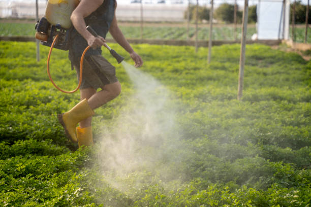 Best Ant Control Services  in University Park, MD
