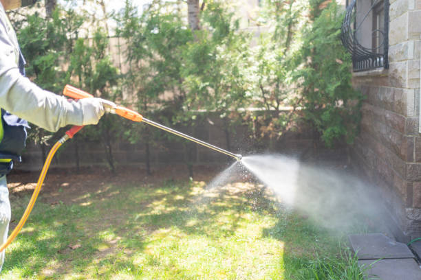 Reliable University Park, MD Pest Control Solutions